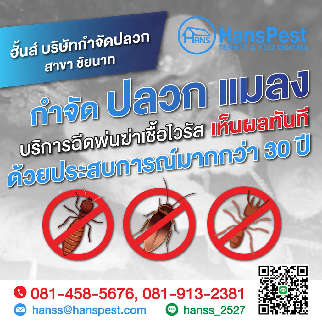 ฮั้นส์ กำจัดปลวก สาขาชัยนาท